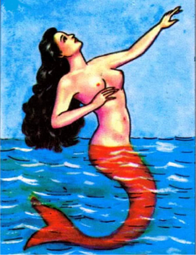 La Sirena et ses locations saisonnières à Boulogne-sur-Mer